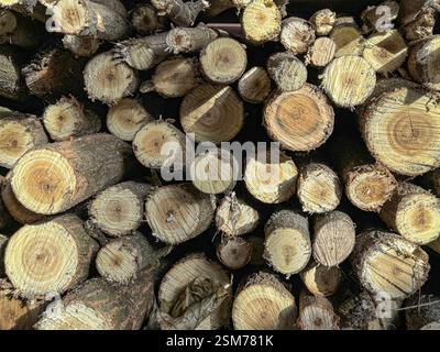 Una vista dettagliata dei tronchi di legna da ardere tritati disposti in pile assortite e impilate, che presentino le consistenze naturali e le preparazioni per la combustione o il magazzinaggio, Foto Stock
