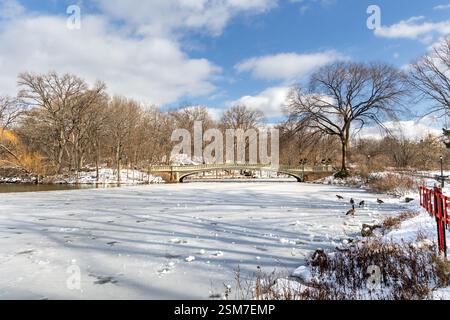 Una splendida giornata invernale a Central Park presenta un lago ghiacciato circondato da alberi e l'iconico Bow Bridge, che cattura l'essenza di New York City a febbraio Foto Stock