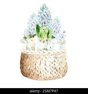 Illustrazione in acquerello di giacinti blu e uova di quaglia in un cestello di vimini. Illustrazione acquerello su sfondo bianco. Fiori primaverili trafilati a mano adatti per disegni primaverili e pasquali in delicati colori pastello Foto Stock