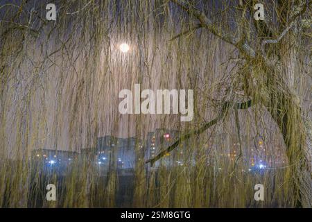 Leopoli, Leopoli, Ucraina. 12 febbraio 2025. 12 febbraio 2025, regione di Leopoli, Ucraina: La luna piena di febbraio è conosciuta come la Luna di neve, ma a volte è anche chiamata Luna di tempesta o Luna affamata sorge dietro gli edifici di appartamenti in Ucraina. (Credit Image: © Artur Abramiv/ZUMA Press Wire) SOLO PER USO EDITORIALE! Non per USO commerciale! Foto Stock