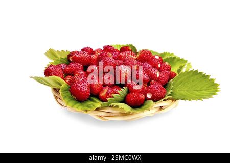Fragole mature con foglie verdi in una piastra di vimini isolato su uno sfondo bianco Foto Stock