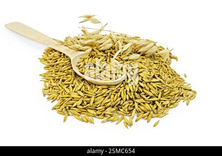 Un mucchio di avena con un cucchiaio di legno e il gambo isolato su sfondo bianco Foto Stock