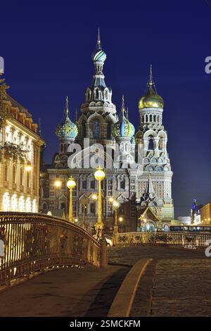 Chiesa illuminata Salvatore sul sangue a San Pietroburgo, Russia. Vista notturna Foto Stock