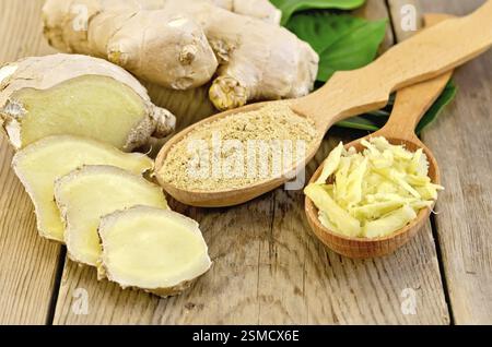 Grattugiato e lo zenzero in polvere in due cucchiai di legno, radice di zenzero, foglie verdi sul pannello di legno Foto Stock