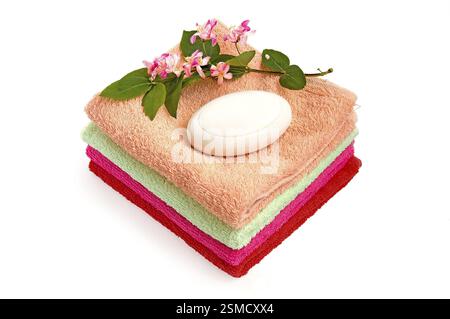 Sapone bianco, un ramo con fiori rosa e foglie verdi, una pila di asciugamani su sfondo bianco, Russia, Europa Foto Stock