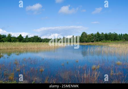 Laesoe, Danimarca: Vista sulla brughiera di Kaerene con il lago Birkemose Foto Stock
