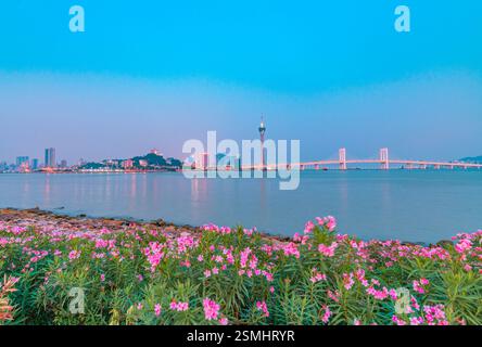 Vista notturna di Macao attraverso Zhuhai Foto Stock