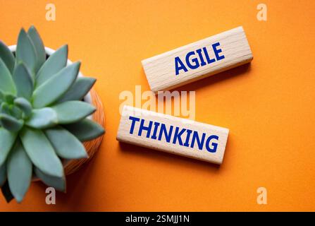 Simbolo del pensiero agile. Blocchi di legno con parole Agile Thinking. Bellissimo sfondo arancione con piante succulente. Business e Agile Thinking. Foto Stock