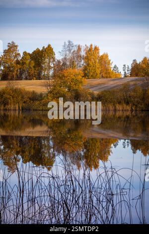Tardo autunno a Raknehaugen: Fiori baciati dal gelo, gocce di rugiada sul filo, fattorie dalle sfumature dorate e il lago che riflette la fugace bellezza della stagione. Foto Stock