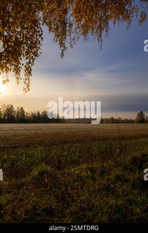 Tardo autunno a Raknehaugen: Fiori baciati dal gelo, gocce di rugiada sul filo, fattorie dalle sfumature dorate e il lago che riflette la fugace bellezza della stagione. Foto Stock
