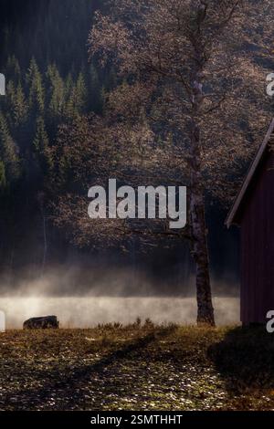 Laghi tranquilli di Hurdalsjøen e Skrukkelisjøen, betulle dorate e acque riflettenti. Un tranquillo rifugio autunnale dove la bellezza della natura invita alla riflessione Foto Stock