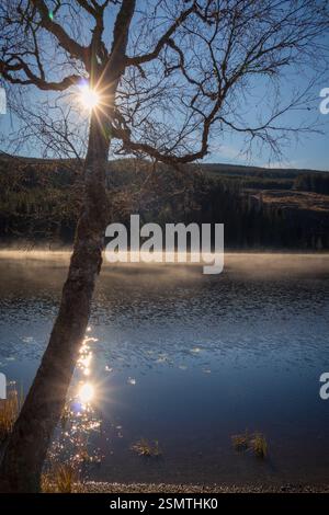 Laghi tranquilli di Hurdalsjøen e Skrukkelisjøen, betulle dorate e acque riflettenti. Un tranquillo rifugio autunnale dove la bellezza della natura invita alla riflessione Foto Stock