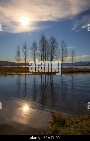 Laghi tranquilli di Hurdalsjøen e Skrukkelisjøen, betulle dorate e acque riflettenti. Un tranquillo rifugio autunnale dove la bellezza della natura invita alla riflessione Foto Stock