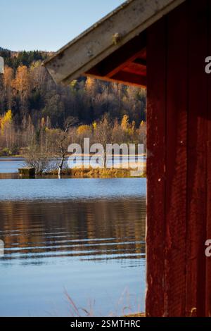 Laghi tranquilli di Hurdalsjøen e Skrukkelisjøen, betulle dorate e acque riflettenti. Un tranquillo rifugio autunnale dove la bellezza della natura invita alla riflessione Foto Stock