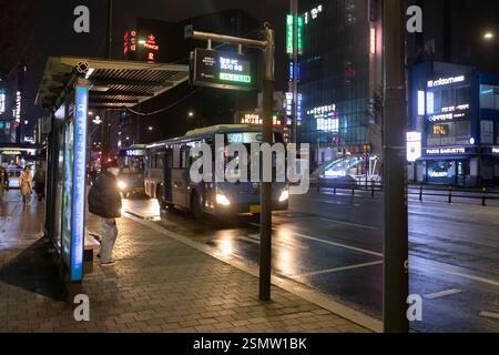 Seoul, Corea del Sud - 24-03-2024: Centro storico, strade trafficate, venditori di merci, turisti in esplorazione. Cultura vivace, mercati tradizionali, l Foto Stock