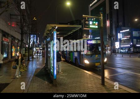 Seoul, Corea del Sud - 24-03-2024: Centro storico, strade trafficate, venditori di merci, turisti in esplorazione. Cultura vivace, mercati tradizionali, l Foto Stock