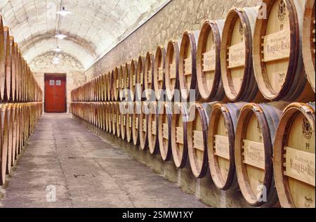 Negozio di botti presso l'azienda vinicola Marques de Riscal. La città del vino. Elciego. Percorso del vino Rioja alavesa. Alava. Paesi baschi. Spagna Foto Stock