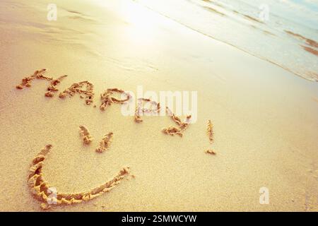 Messaggio di felicità scritto sulla sabbia su una spiaggia soleggiata durante il giorno Foto Stock