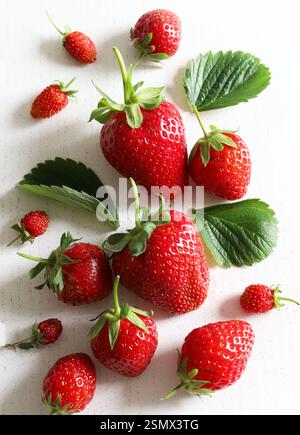 Gruppo di fragole fresche e fragole selvatiche isolate su sfondo bianco. Cibo sano e vegetariano. Direttamente sopra. Foto Stock