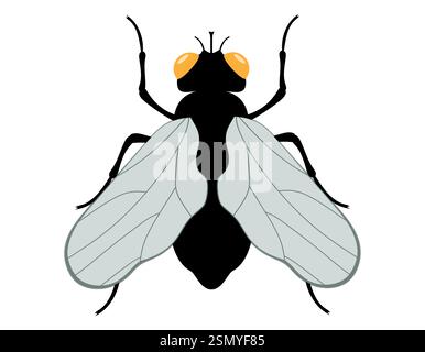 illustrazione vettoriale di insetti animali selvatici in stile piatto isolata su sfondo bianco Illustrazione Vettoriale