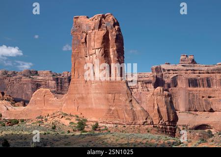Roccia delle pecore Foto Stock