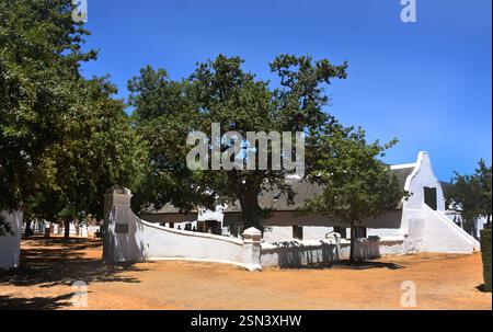 Giardino e azienda vinicola di Babylonstoren, vecchia azienda, azienda vinicola, Franschhoek, Provincia del Capo Occidentale, Stellenbosch, Cape Winelands, Sudafrica, Africa Foto Stock