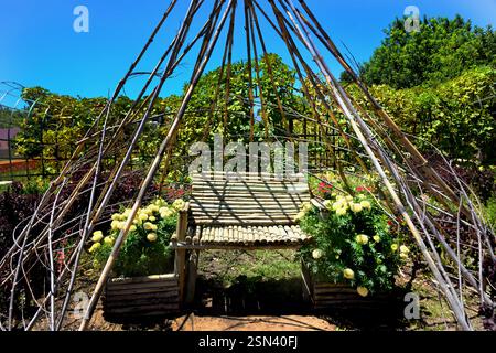 Giardino e azienda vinicola di Babylonstoren, vecchia azienda, azienda vinicola, Franschhoek, Provincia del Capo Occidentale, Stellenbosch, Cape Winelands, Sudafrica, Africa Foto Stock