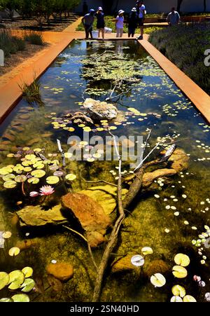 Giardino e azienda vinicola di Babylonstoren, vecchia azienda, azienda vinicola, Franschhoek, Provincia del Capo Occidentale, Stellenbosch, Cape Winelands, Sudafrica, Africa Foto Stock