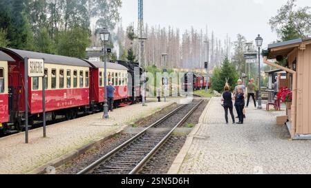 Schierke, Germania – 30 agosto 2024: Un treno a vapore della Brockenbahn tedesca aspetta alla stazione di Schierke ad un altro per arrivare. Foto Stock