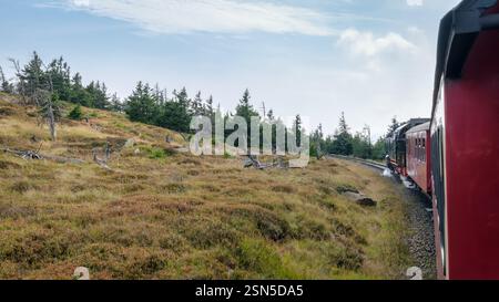 Un treno a vapore della Brockenbahn tedesca è sulla strada per la stazione di Brocken, il punto più alto dell'Harz. Fa parte della Harzer schmalspurbahn. Foto Stock