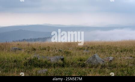 Si tratta di un giorno d'estate nuvoloso e nebbioso di agosto guardando i monti Harz (Sassonia, Germania) dal suo punto più alto, il Brocken (3.743 piedi). Foto Stock