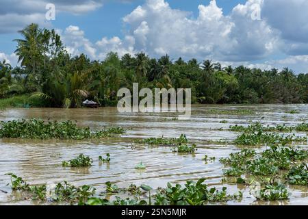 Prosciutto Luong - Vietnam 18 agosto 2024 - barca che viaggia lungo un braccio laterale del fiume Ham Luong nel Delta del Mekong del Vietnam, attraverso un paesaggio unico dom Foto Stock