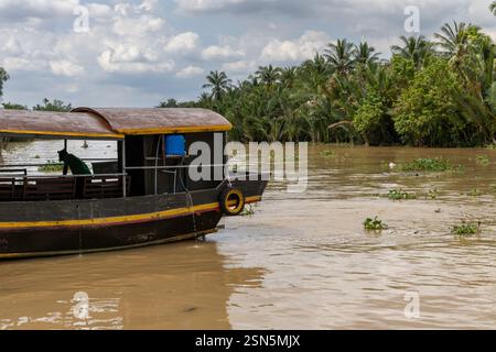 Prosciutto Luong - Vietnam 18 agosto 2024 - barca che viaggia lungo un braccio laterale del fiume Ham Luong nel Delta del Mekong del Vietnam, attraverso un paesaggio unico dom Foto Stock