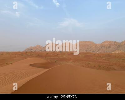 Dune di sabbia Foto Stock