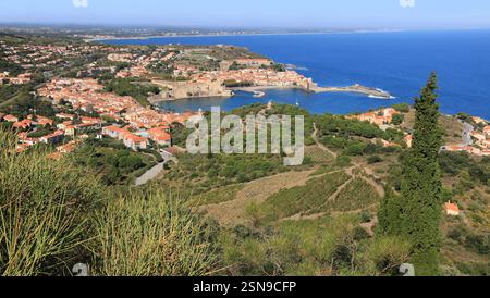 Il porto di Collioure e la sua chiesa sulla costa della Vermeille. Foto Stock
