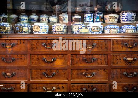 Vecchio armadio farmacia cinese con cassetti in legno nel negozio di medicina tradizionale cinese, farmacia a Giacarta Chinatown, Giava, Indonesia Foto Stock
