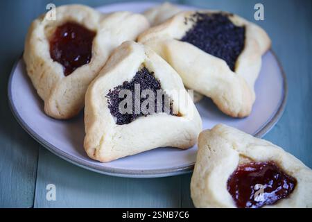 Varietà di tradizionali biscotti hamantaschen ripieni di pasta di mohn (pasta di semi di papavero) e marmellata di prugne per il festival ebraico di Purim. Vista dal piano d'esame. Foto Stock