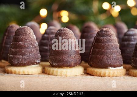 Alveari o nidi di vespe - tradizionali biscotti di Natale cechi con rami di abete sullo sfondo Foto Stock