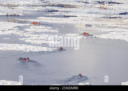 Vista aerea della tradizionale corsa in canoa sul fiume ghiacciato San Lorenzo da Quebec a Levis durante il carnevale invernale del Quebec Foto Stock