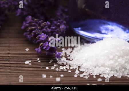 Fiori di lavanda e sale da bagno e olio essenziale, polonia Foto Stock