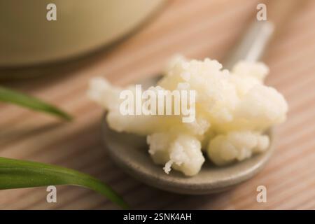 Organici latte probiotici grani kefir Foto Stock