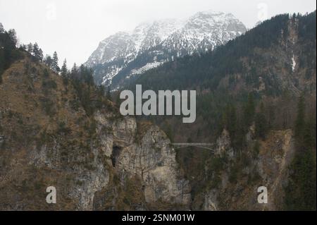 Il ponte in legno attraversa il profondo canyon montano in Germania, Monaco di Baviera. Lussureggianti alberi verdi circondano il ponte. Questo assomiglia a Marienbrücke vicino a Neuschwanstein CAS Foto Stock