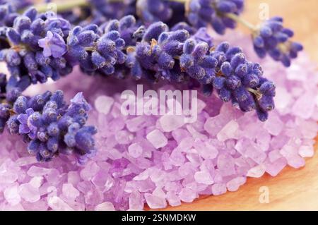 Fiori di lavanda e sale da bagno - trattamento di bellezza, polonia Foto Stock