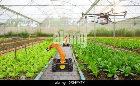 Il concetto di tecnologia agricola con braccio robotico di rendering 3d raccoglie lattuga in fattoria e i droni volano sopra Foto Stock