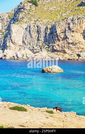 Spiaggia Cala Figuera, Maiorca, Isole Baleari, Spagna Foto Stock