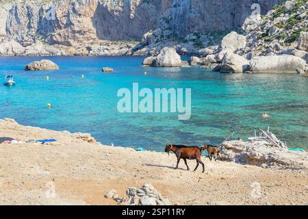 Vista di Cala Figuera, Maiorca, isole Baleari, Spagna, Europa Foto Stock