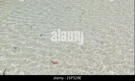 Splendida vista aerea di Whitehaven Beach e delle isole Whitsunday. La vorticosa sabbia di silice incontra l'acqua turchese. Gli schemi ipnotici di Hill Inlet. Un naturale Foto Stock