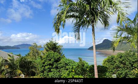 Paradiso tropicale. Palma alta che ondeggia dolcemente nella brezza, oceano cristallino che si estende verso l'orizzonte. Il paradiso tropicale ti aspetta all'H Foto Stock