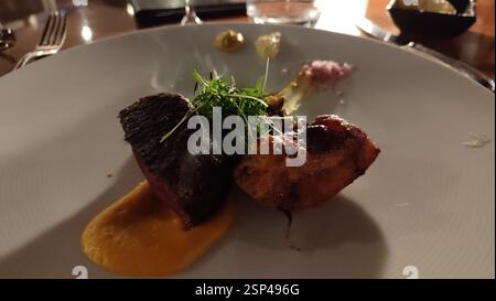 Foto ravvicinata di un pasto delizioso e salutare su un piatto. Un piatto allettante con verdure colorate e carne perfettamente cotta. Bilanciato e nutrizionale Foto Stock