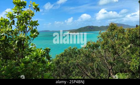 Hill Inlet Beach nelle Isole Whitsunday, Australia, è incorniciata da lussureggianti alberi verdi che si affacciano sull'oceano turchese e sulla sabbia bianca. E' una parata tropicale Foto Stock
